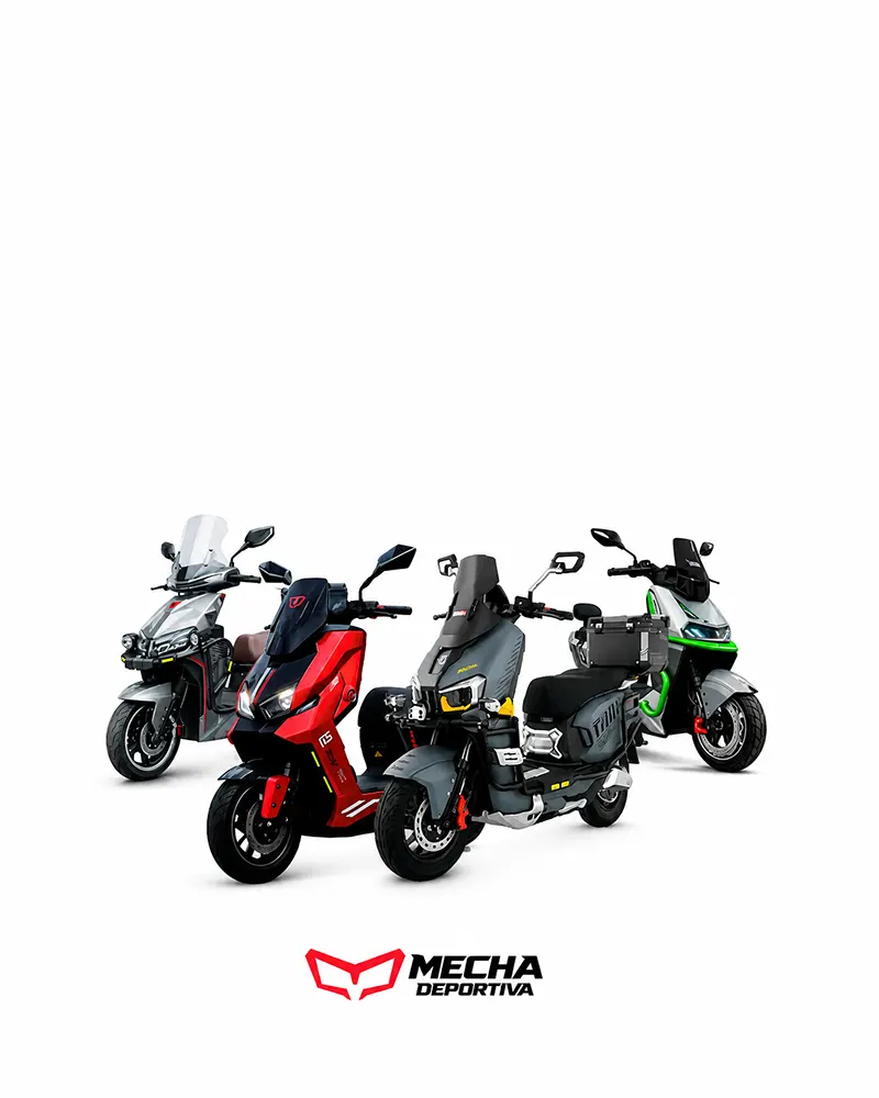 TAILG Nuevas llegadas