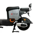 TAILG T7 Litio Extraíble 48V24AH - Imagen 19