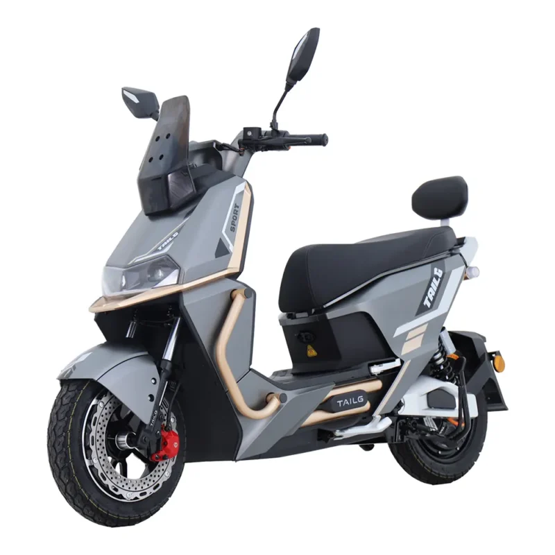 TAILG X9 gris dorado