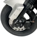 TAILG Lion Max - Imagen 4