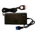 60V3A cargador tailg