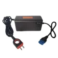 72V3A Cargador tailg