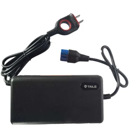 72V3A Cargador tailg