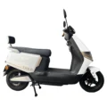 TAILG Lion Max 2026 - Imagen 8
