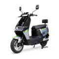 TAILG Lion Max Negro Verde