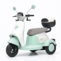 TAILG TRIMOTO SUNNY VERDE