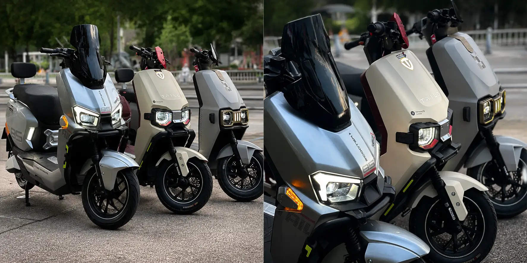 TAILG MECHA DEPORTTIVA MODELOS