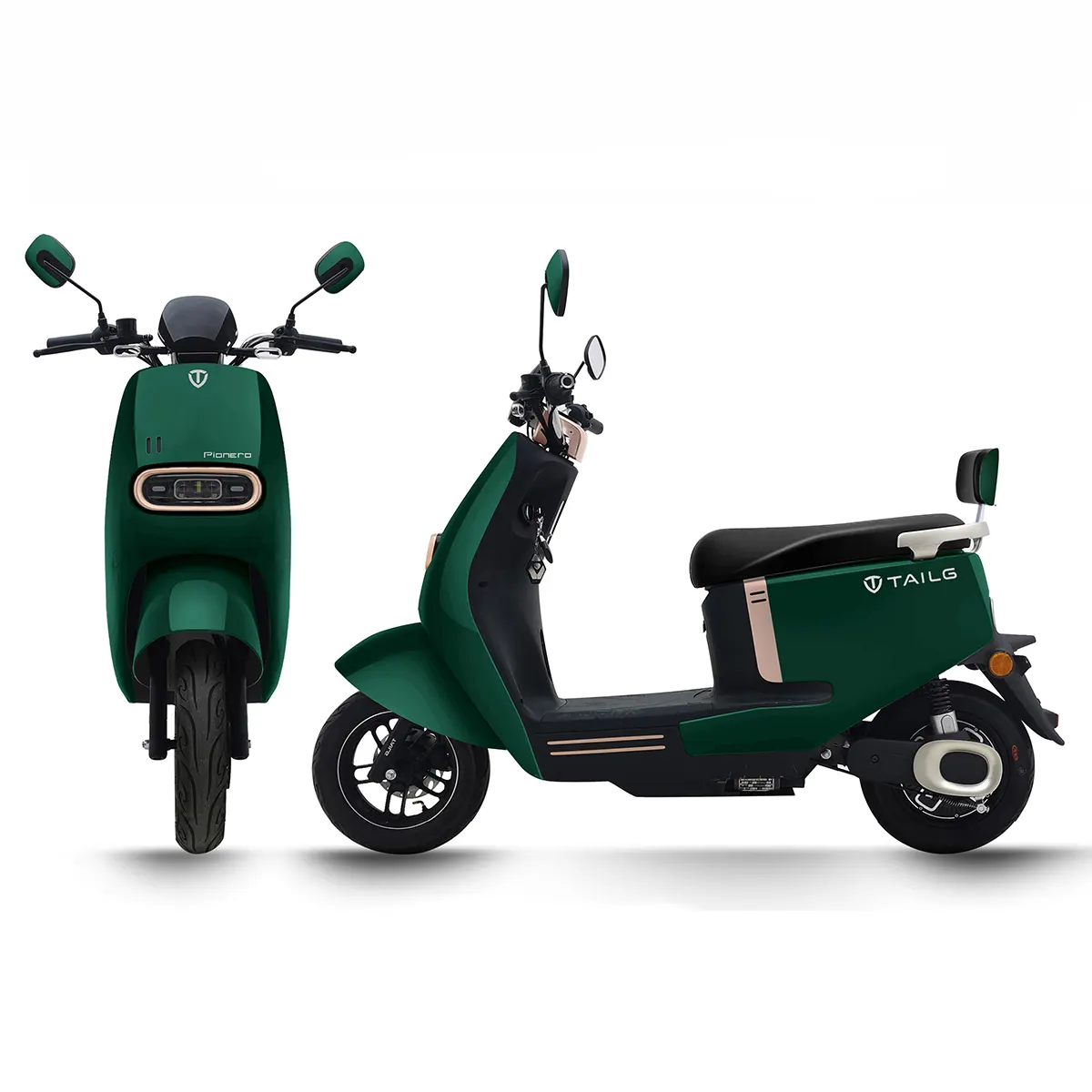 moto electrica TAILG PIONERO
