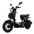 TAILG X51 NEGRO litio extraible lifepo4