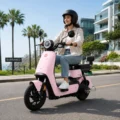 TAILG LEDO LITIO EXTRAIBLE LMFP rosado