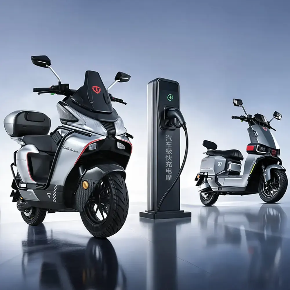 Motos eléctricas de larga autonomía TAILG super charge