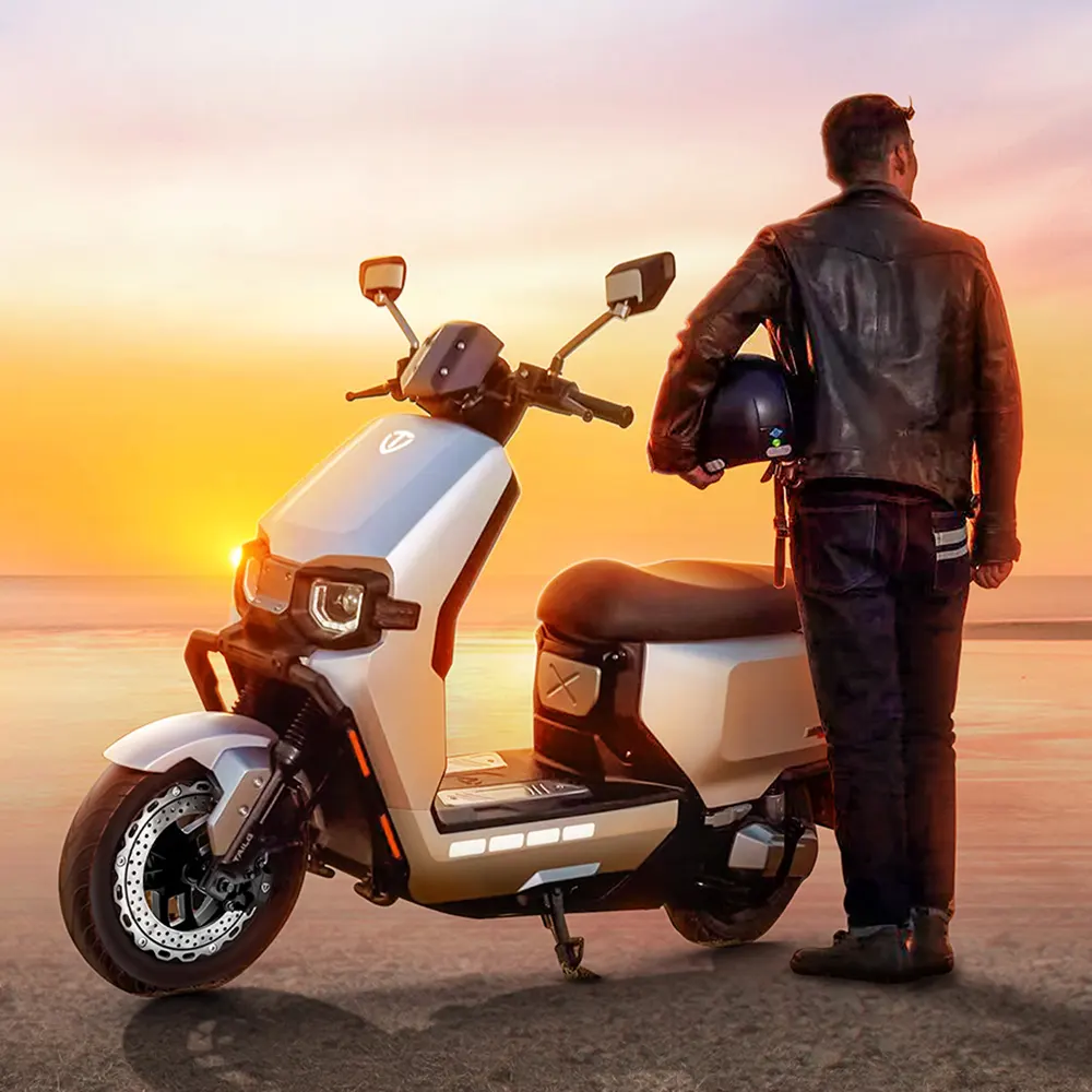 Serie TAILG F55 motos electricas orginal