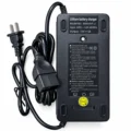 TAILG Cargador de litio 60V 5A LiFEPO4 73V BACK