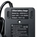 TAILG Cargador de litio 60V 5A LiFEPO4 Output 73V FICHAS