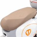 TAILG N10L litio extraible asiento