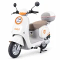 TAILG N10L litio extraible beige