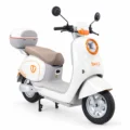 TAILG N10L litio extraible beige lado dr