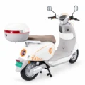 TAILG N10L litio extraible beige lado dr posterior