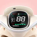 TAILG N10L litio extraible pantalla