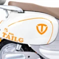 TAILG N10L litio extraible suspension ajustable