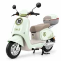 TAILG N10L litio extraible verde